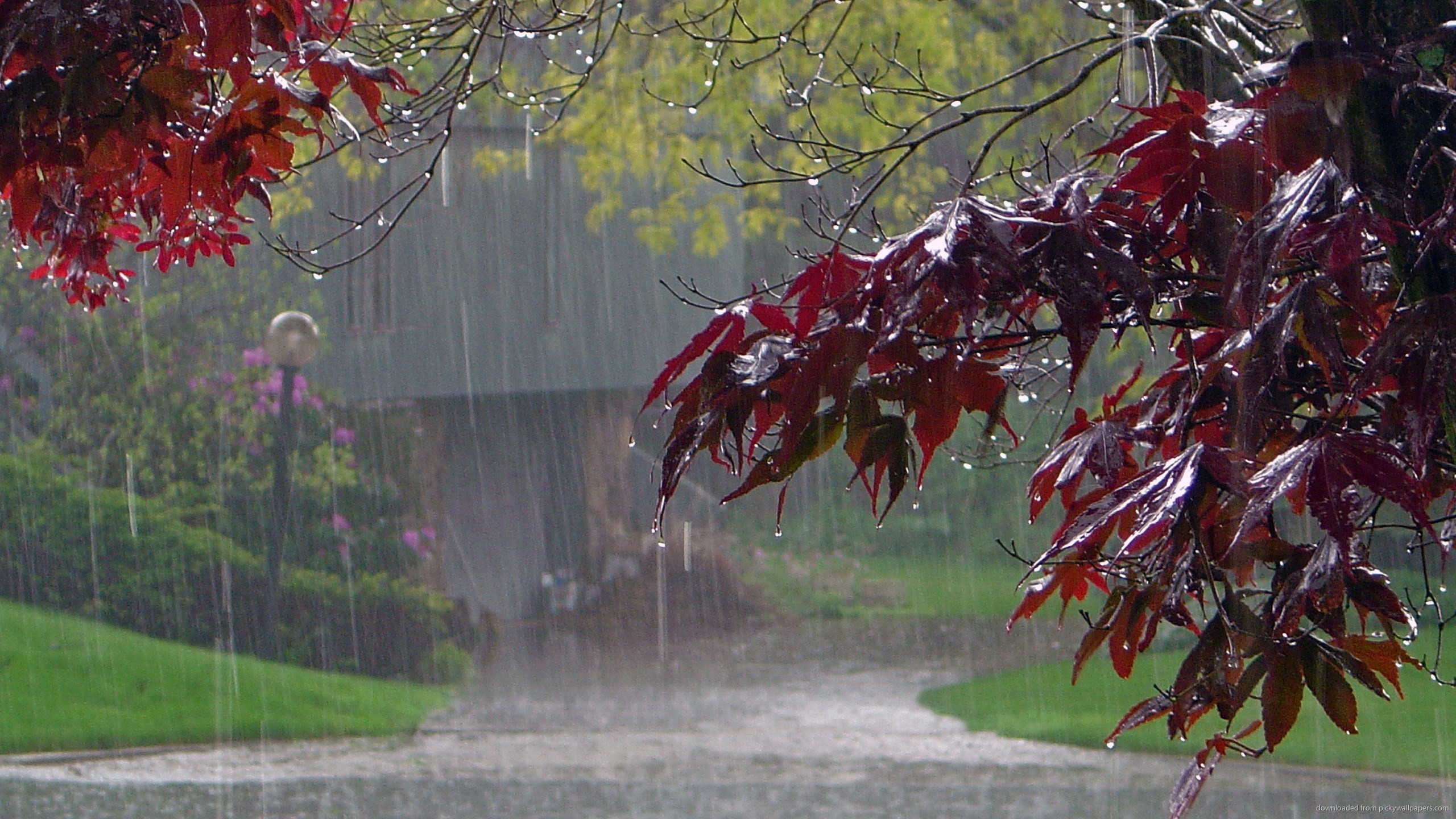 Слушая гул осеннего ветра. Дождливая осень. Дождь осенью. Осенний дождик. Осенний ливень.